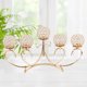thumbnail image 5 of s dorado decorativo de 5 brazos Gloria candelabro, 5 of 9