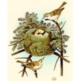 thumbnail image 2 of Unknown 15x18 White Modern Wood Framed Museum Art Print Titled - Feathering Nest III, 2 of 4
