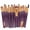 Purple, variant on Yoofe 20 Pcs Pro Makeup Set Powder Foundation Eyeshadow Eyeliner Lip Cosmetic Brushes (Purple+Gold)