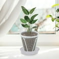 Clear Plastic Plant Nursery Pots With Saucer Transparent Tool With