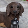 thumbnail image 3 of Bits and Pieces 9" Dachshund Dog Garden Statues, Solar Lantern, 3 of 7