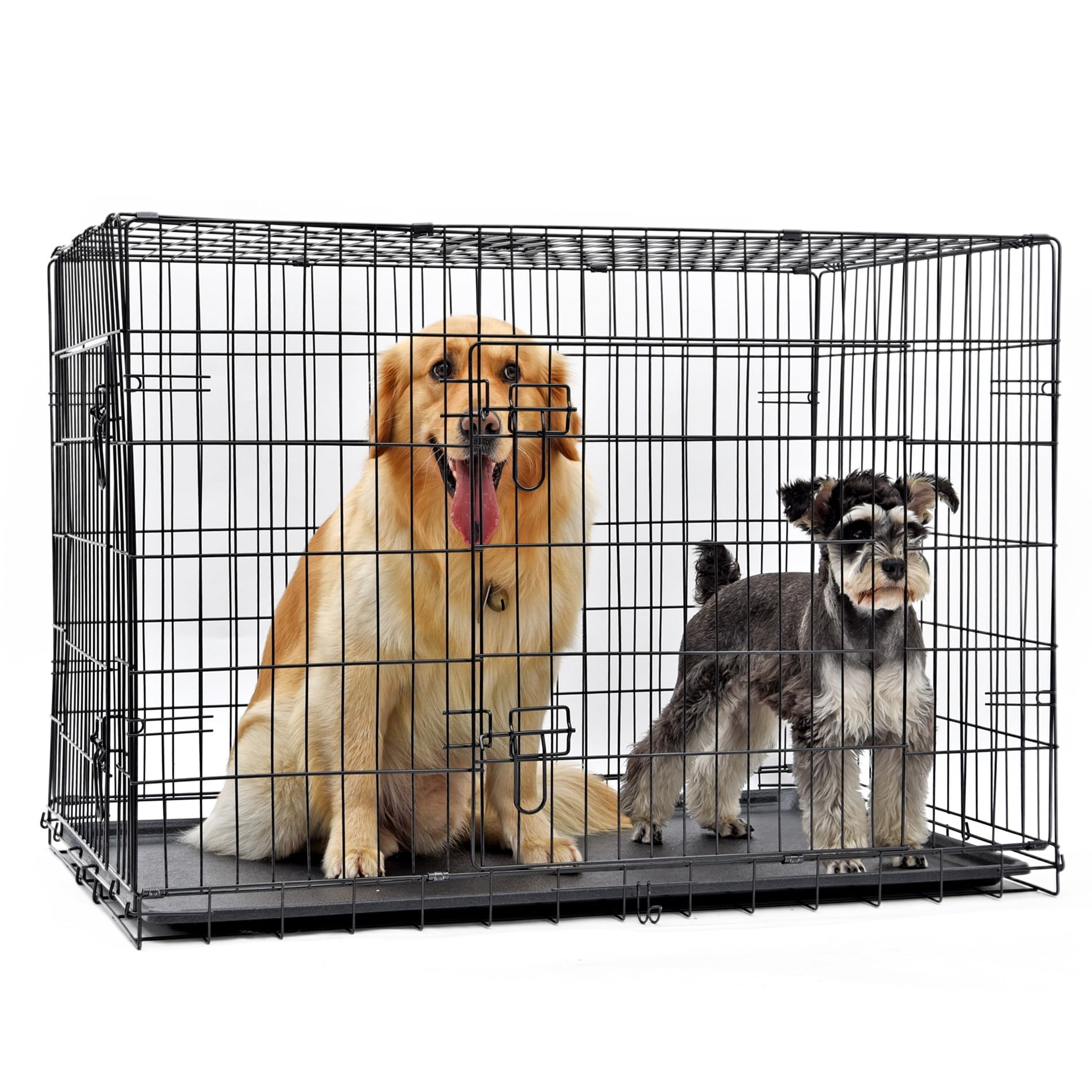 Are Wire Dog Crates Safe