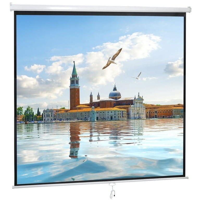 ZENY 120" 1:1 Manual Pull Down Projector Screen Auto-Lock photo 6