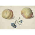 thumbnail image 2 of Georgius Jacobus Johannes van Os 14x11 Black Ornate Wood Framed Double Matted Museum Art Print Titled: Two Peaches and a Flower (1792), 2 of 5