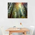 thumbnail image 2 of Nawypu California Redwoods Sun-Rays and Sky Art Print Wall Art Poster Living Room Office Decor Art Print Poster Modern Family Bedroom Decor Posters (20x16 inch), 2 of 4