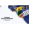 thumbnail image 3 of A.G.A.S 4' x 6' 200 Denier Nylon New York State Outdoor Flag and Banner, 3 of 5