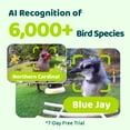thumbnail image 3 of Birdfy Smart Bird Feeder with Camera, AI Identify 6000+ Species, Solar Powered,Eco-friendly Wooden, Ideal Gift, Cyan, 3 of 10