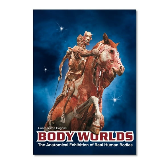 Body Worlds The Anatomical Exhibition of Real Human Bodies - DVD