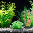 thumbnail image 5 of Plantas de agua de algas artificiales para acuario, decoraciones de plantas de pecera de plástico, 10 unidades, 5 of 5