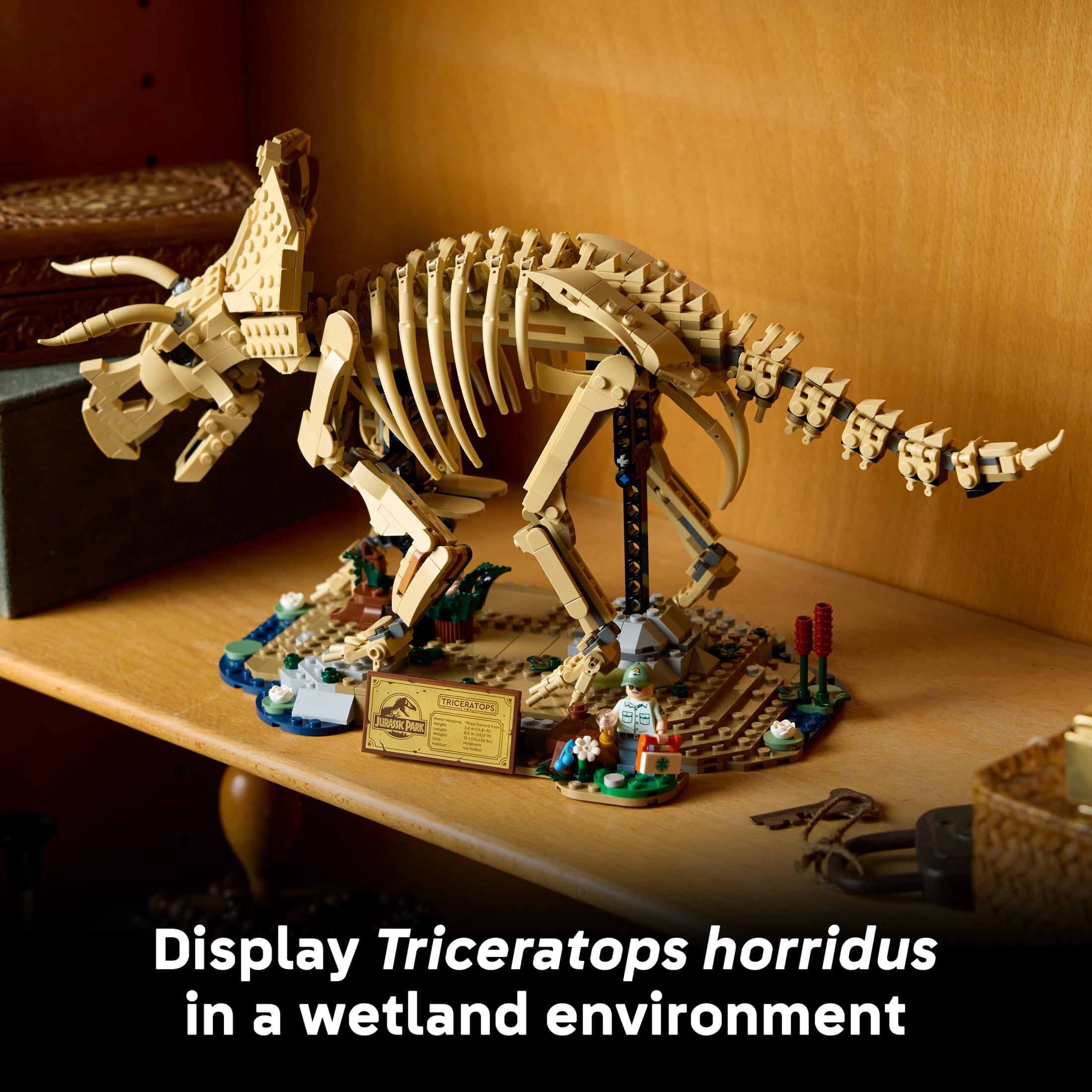 LEGO Jurassic World Dinosaur Fossils: Triceratops - Building Set for Adults, Ages 18+ - Posable Display for Home Office, Bedroom or Desk Décor - Gift for Men & Women - 77985