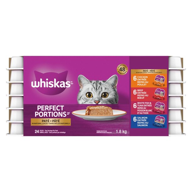 Can Kittens Have Adult Wet Cat Food: Essential Feeding Tips