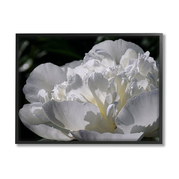 Blooming White Petals Photography Botanical & Floral Photograph Black Framed Art Print Wall Art