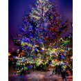 thumbnail image 6 of ZOELNIC 50Pcs 6.6ft 20LED Fairy Lights Battery Operated Tiny Lights Small String Lights for Jars Starry Waterproof String Lights for DIY Wedding Party Holiday (Mixed Color), 6 of 13