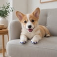 thumbnail image 5 of AuroraX Pet Nail Caps for Dogs and Cats Claw Protectors for Furniture Soft Easy to Apply Multi-Color Scratch-Proof Pet Supplies for Indoor Use Blue National Dog Day International Cat Day, 5 of 6