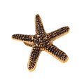 thumbnail image 1 of Anillos de servilleta Decoración Delicada Decoración de mesa Ajuste de mesa Aleación simple para Estrella de mar, 1 of 9
