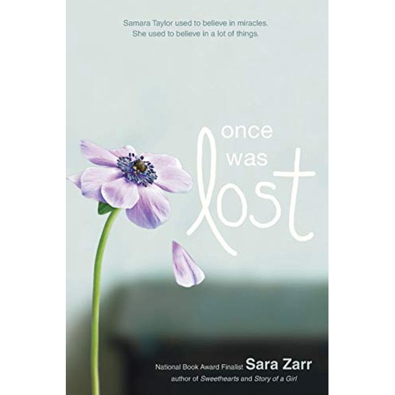 Pre-Owned Once Was Lost Paperback