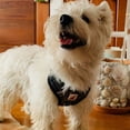 thumbnail image 3 of Doggy Tales Realtree 2X Sport Harness Edge, Small, 3 of 4