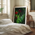 thumbnail image 2 of Washington Morning Poppy Glow - Ocean Shores Washington Photography Floral Nature Botanical Garden Moody Mystical Summer Oak Framed Wall Art Print 12 x 16 inches, 2 of 12