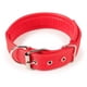 thumbnail image 1 of Collar de perro resistente con asa para perros medianos y grandes – Collar con puntadas reflectantes,, 1 of 5