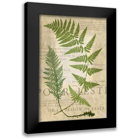 Vision Studio 11x14 Black Modern Framed Museum Art Print Titled - Fern Folio IV