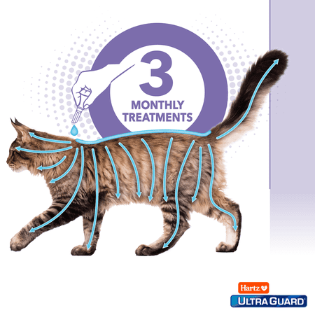 Hartz UltraGuard Plus Topical Flea & Tick Prevention for Cats & Kittens, 3 Monthly Treatments