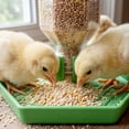 thumbnail image 5 of Quail Feeder and Waterer for Farm,Gravity Auto Poultry Food Dispenser,Dry/Wet Separation,Multi-Functional Water & Feed Container for Chicks,Quails & Small Farm Birds,Green, 5 of 7