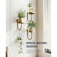 thumbnail image 2 of Wall Plant Holder Wall Planters for Indoor Plants Plant Hanger Indoor Window Plant Shelves Hanging Plant Holder Window Plant Hanger Plant Decor Golden 3pcs, 2 of 5