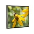 thumbnail image 4 of Stupell Industries Bee on Daisy Photography Botanical & Floral Photography Gray Floater Framed Canvas Art Print Wall Art, 21 x 17, 4 of 10