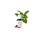 thumbnail image 1 of Aceite Esencial Puressentiel Gaulteria 9 mL Orgánico Unisex, 1 of 2