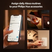 Philips Hue Smart plug