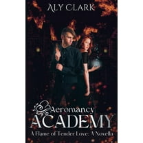 Aeromancy Academy A Flame of Tender Love, Book 0.5, (Paperback)