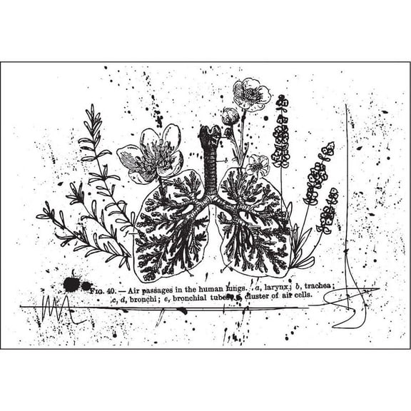 PRIMA MARKETING INC Mixed Media Cling Stamp - Treasured Memories 7 UPC 655350580131