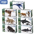 thumbnail image 5 of Modelo de dinosaurio TOMY original Jurassic World conmemora los juguetes para niños Tyrannosaurus Velociraptor carnotaurus circundantes, 5 of 5