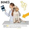 thumbnail image 5 of maxxiflex+ Hip & Joint Supplement for Dogs with Glucosamine, Chondroitin, MSM & Collagen | Mobility, Flexibility & Discomfort Support | Senior, Adult & All Breeds | 120 Tablets, 5 of 9