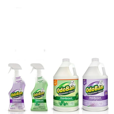 Original Disinfectant - OdoBan Disinfectant Odor Eliminator Ready-to-Use 32oz Spray Bottle and 1 Gal Concentrate, Original Eucalyptus Scent, Plus Ready-to-Use 32oz Spray Bottle and 1 Gal Concentrate, Lavender Scent