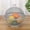 Grey, variant on Big Sale ! ZBBMUYHGSA Strainers,Filter Screen,Fruit Basket with Fly Fruit Bowl with Lid Fruit Fly Fruit Basket with Lid Fruit Net Against