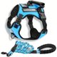 thumbnail image 5 of Adjustable No-Pull Pet Harness & Leash Set - Perfect for Dogs & Cats Walking!, 5 of 5