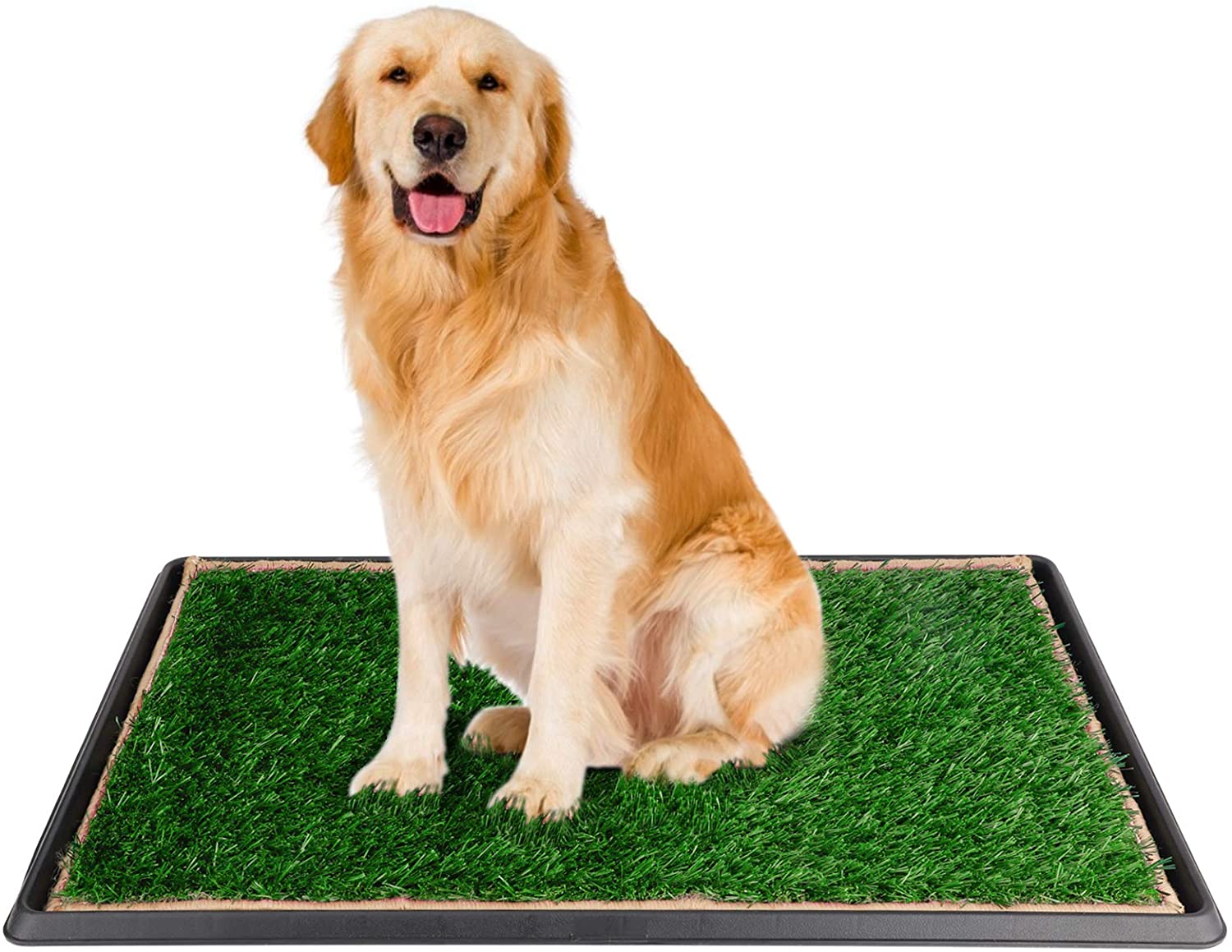 Dog Potty Training Toilet Grass Mat for Puppy and Small Pets Potty Trainer Portable Indoor/Outdoor Use Pet Potty Pad Artificial Grass Bathroom Mat Dog Potty Training Toilet Grass Mat for Puppy and Small Pets Potty Trainer Portable Indoor/Outdoor Use Pet Potty Pad Artificial Grass Bathroom Mat