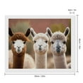 thumbnail image 2 of Diamond Art Kits for Adults, Cute Alpaca in DazeDiamond Painting Kits for Beginners, Frameless Round 5D Full Drill Diamonds Art Pictures Gem Art Crafts Home Decor Gifts, 2 of 8
