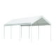 thumbnail image 1 of CARPA 6 m x 3 m VANLIG Toldo reforzado para auto, 1 of 4