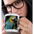 thumbnail image 2 of 3drose, Blue and Yellow Macaw, Tropical Bird, Brazil - Sa04 Ksc0023 - Kevin Schafer, 15oz Two-tone Black Mug, 2 of 6