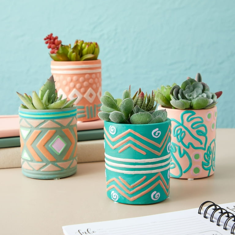 Set of 4 Paint Your Own Cactus Succulent Planters - Blank Paintable Flower  Pots with Drainage Holes, Rubber Plugs, 15 Sticker Pot Pads - Ceramics  Pottery to Paint for Adults (4 Designs) - Walmart.com