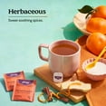 thumbnail image 5 of Yogi Tea Throat Comfort, Organic Herbal Tea, Wellness Tea Bags, 6 Boxes of 16, 5 of 8