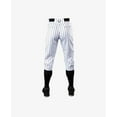 EvoShield Salute Pinstripe Adult Knicker Baseball Pant, White / Black