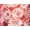 Pomegranate Floral, variant on Dreams & Co. Plus Size V-Neck Short Sleeve Short T-Shirt Lounger