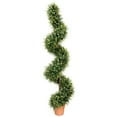thumbnail image 2 of Northlight 5.5' Unlit Artificial Potted Two-Tone Boxwood Spiral Topiary Tree, 2 of 7