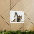 thumbnail image 6 of Border Collie Couple Border Collie Troop Print Animal Wall Art Wildlife Canvas Prints Wall Art Ready to Hang Unframed, 6 of 18