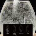 thumbnail image 5 of Weather Storm Glass Bottle Drop Creative Stylish Weather Station Forecaster Barometer, Desktop Decoration Crafts of Choice, 5 of 8