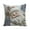C, variant on Winter Theme Christmas Pillow, 3D Visual Effect Printed Pillowcase, Light Color Holiday Home Decoration, 17.7"x17.7"