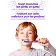 thumbnail image 4 of Colgate Extra Soft Kids Toothbrush Pack, Advanced Cavity Fighter, 4 Pack, 4 of 9